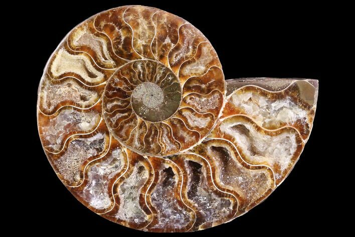 Agatized Ammonite Fossil (Half) - Crystal Chambers #88273